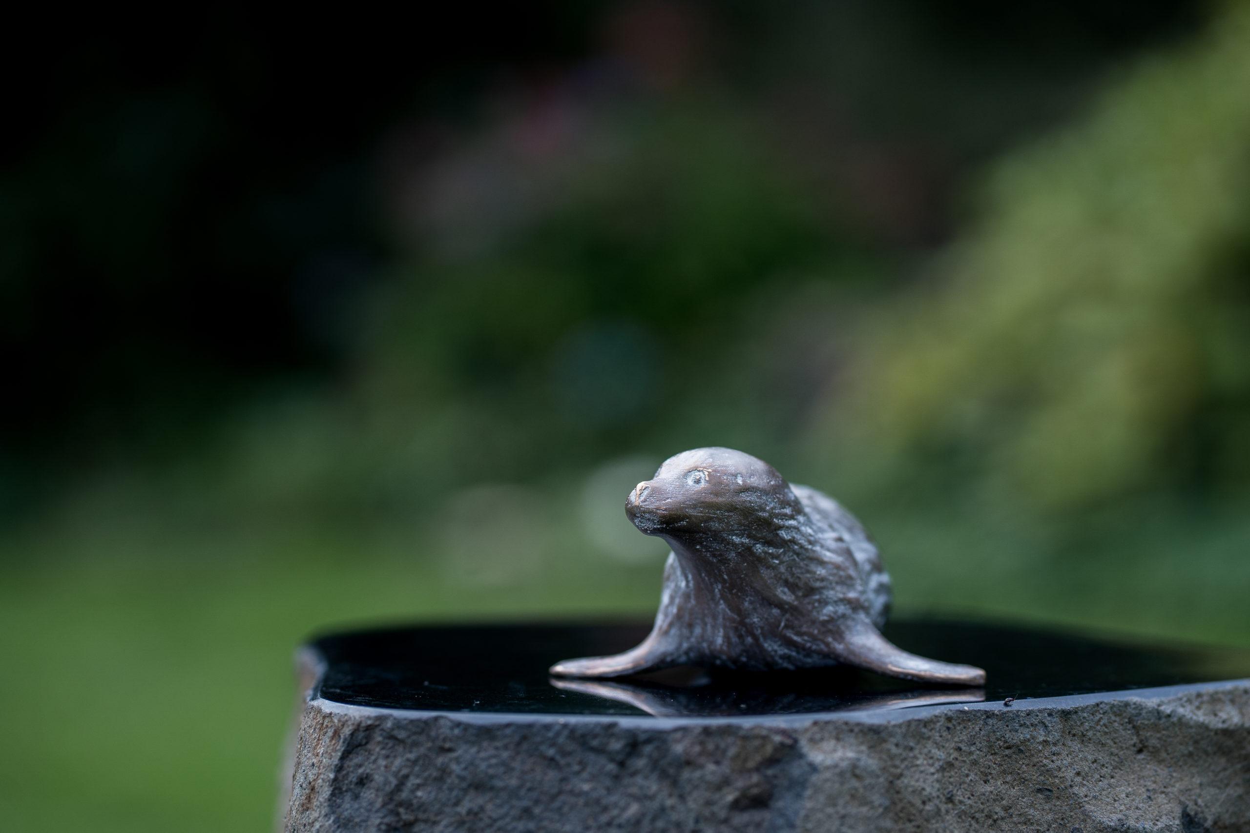 Robbe klein (22 cm) – Bild 4