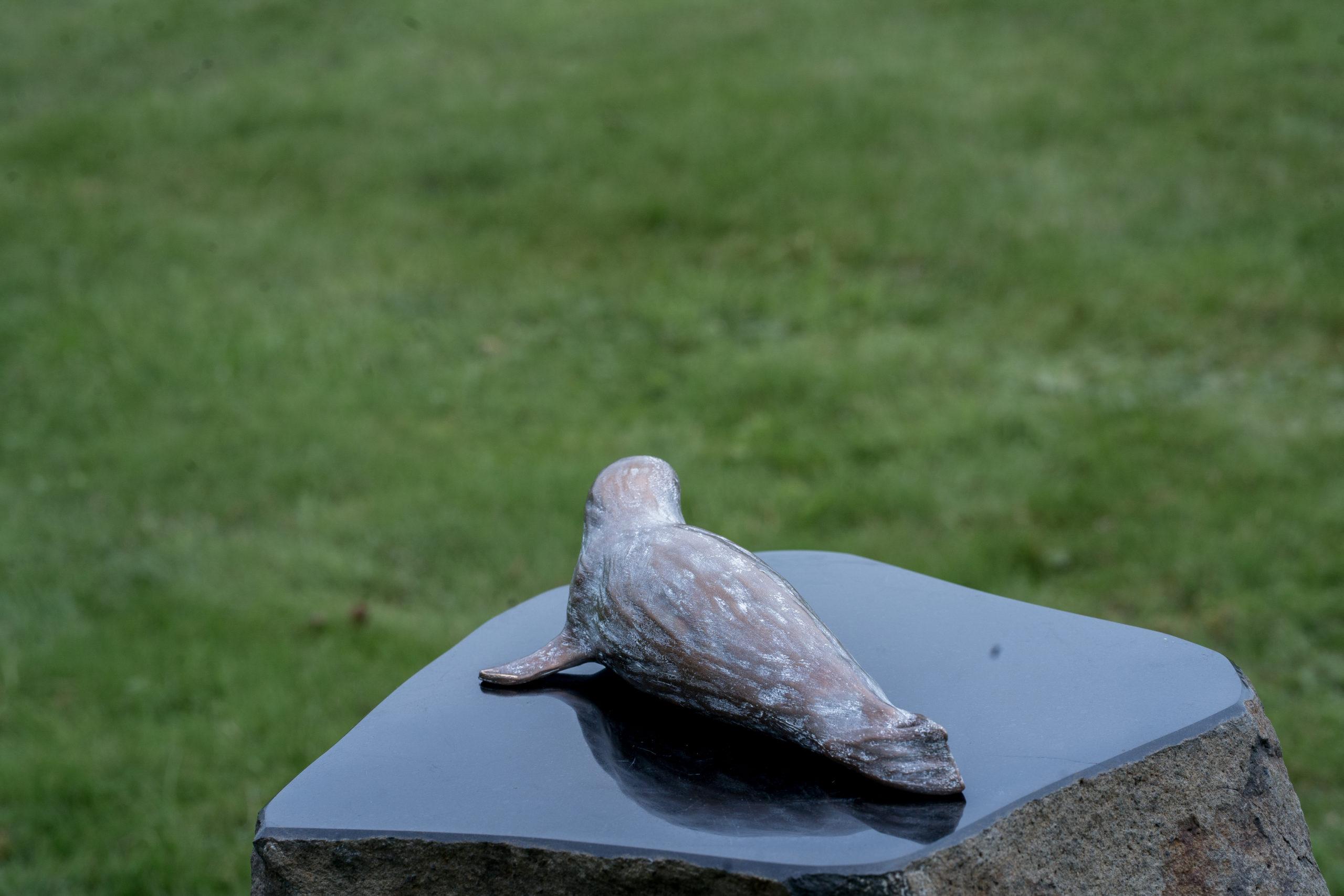 Robbe klein (22 cm) – Bild 5