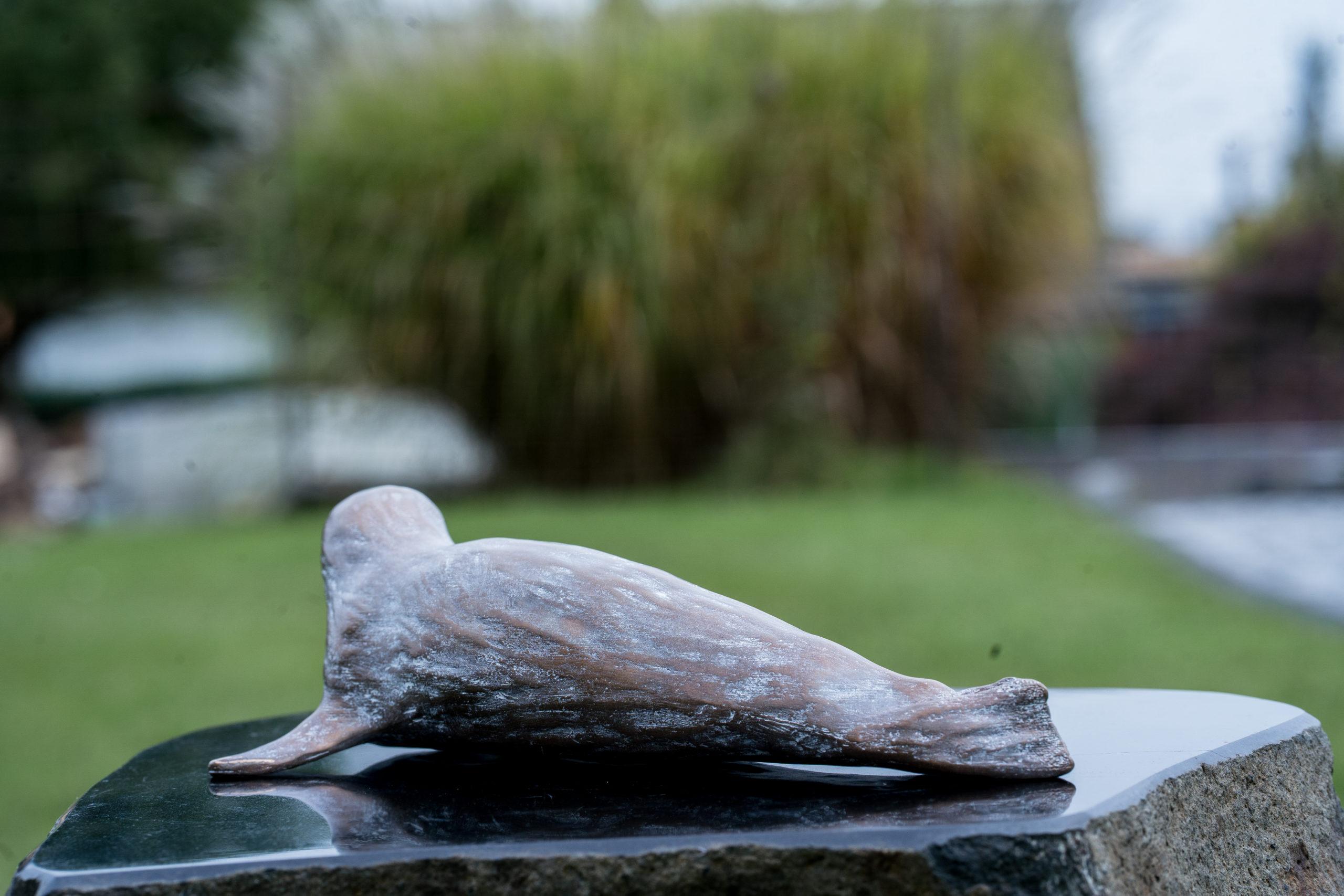 Robbe klein (22 cm) – Bild 6